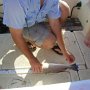 DSCN7574.jpg