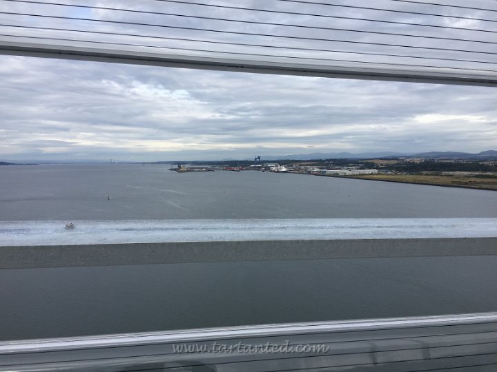 IMG 0250
