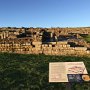 IMG 6983