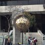 IMG 6922