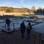 IMG 7175