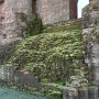 IMG 7186